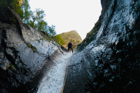 Île de Madère : Tour de canyoning modéréCanyoning Tour Madère - Niveau 2 (Avancé)