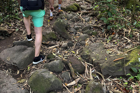 Escursione acquatica nella foresta pluviale