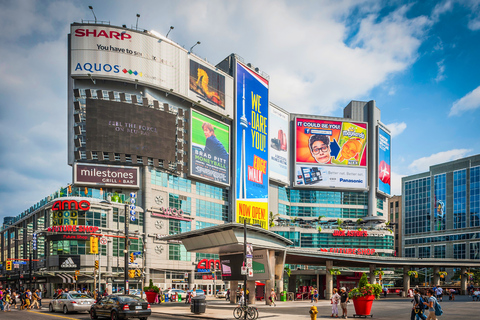 Toronto: Private City Tour with CN Tower & Cruise