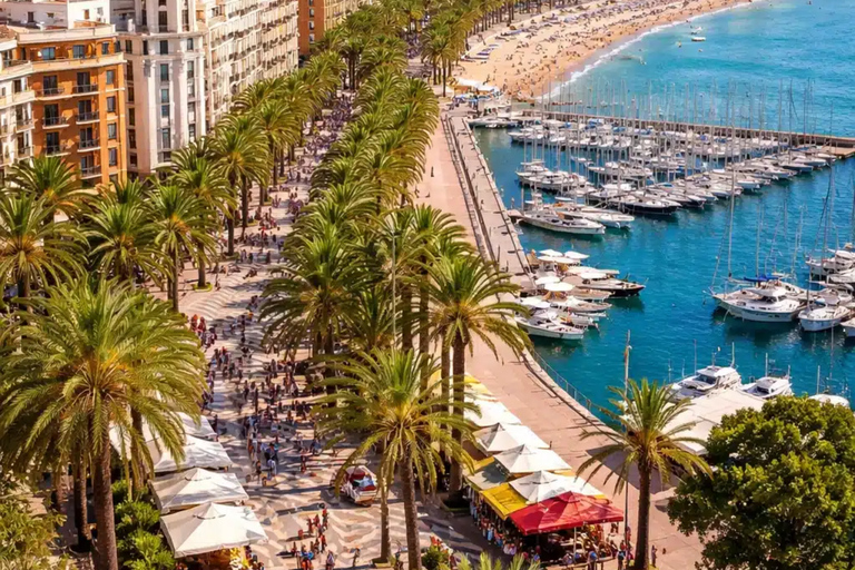 From Valencia: Alicante City, Beach & Santa Bárbara Castle