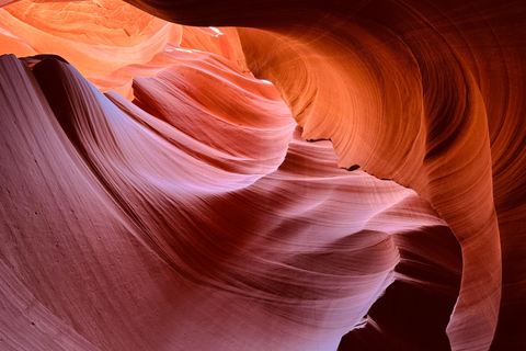 Página: Visita guiada ao Antelope Canyon superior e inferior com licençaPágina: Excursão guiada ao Antelope Canyon superior e inferior com permissão