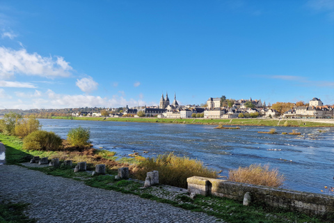 Från Paris: Loire Valley Chambord slott och vinprovning