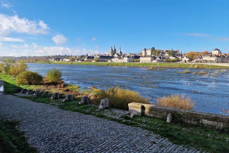 Z Paryża: Zamek Chambord w Dolinie Loary i degustacja wina