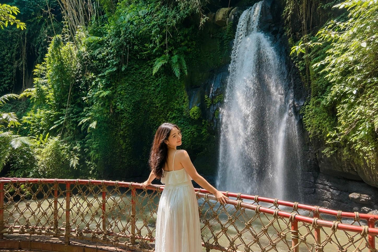 Ubud Private Tour – Nature,Culture,Experience & Hidden Gems Ubud Private Tour – Ubud Monkey Forest & Waterfall Tour