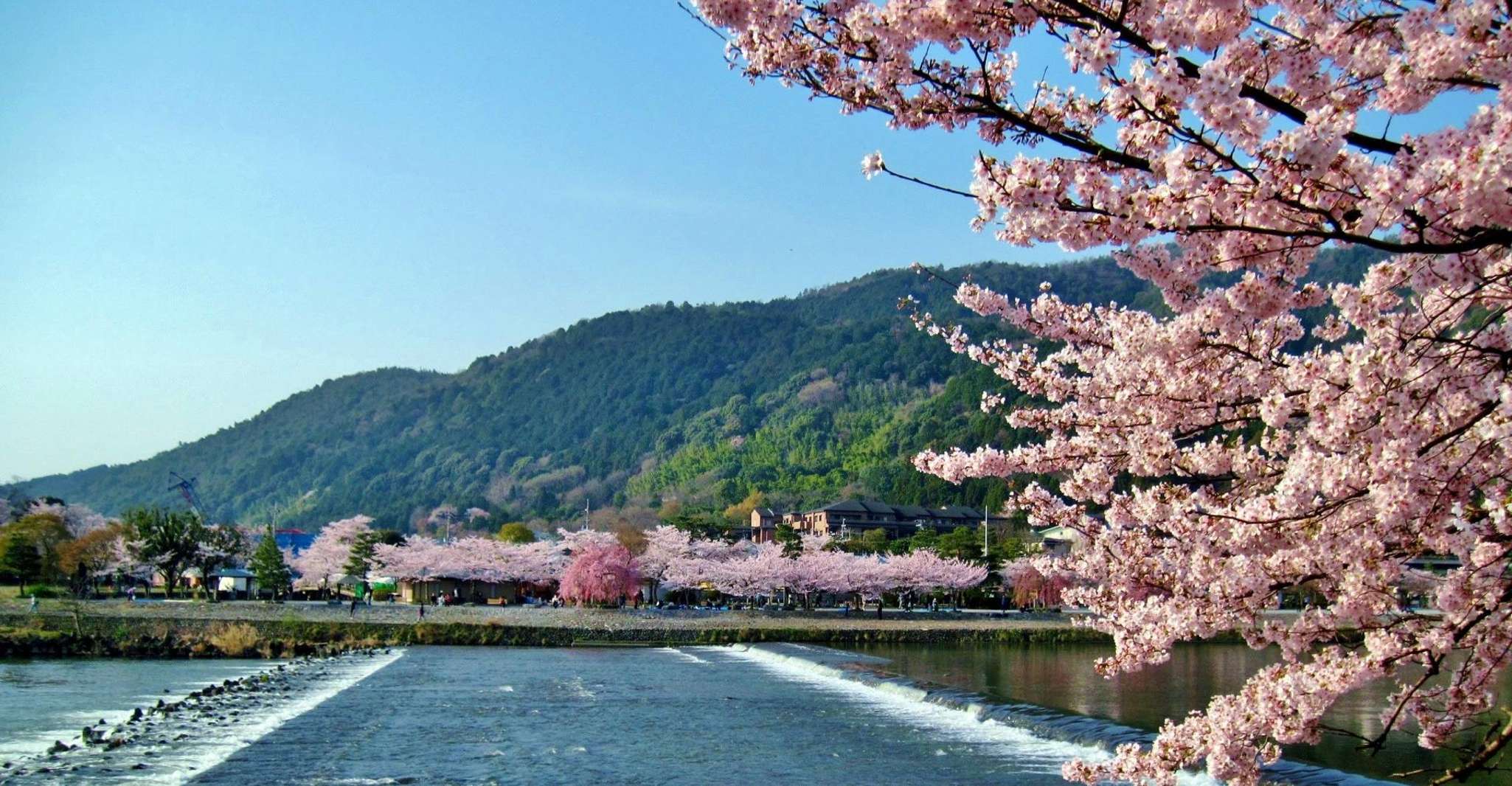 From Osaka/Kyoto: Arashiyama, Nara Park & Fushimi Inari Tour photo 9