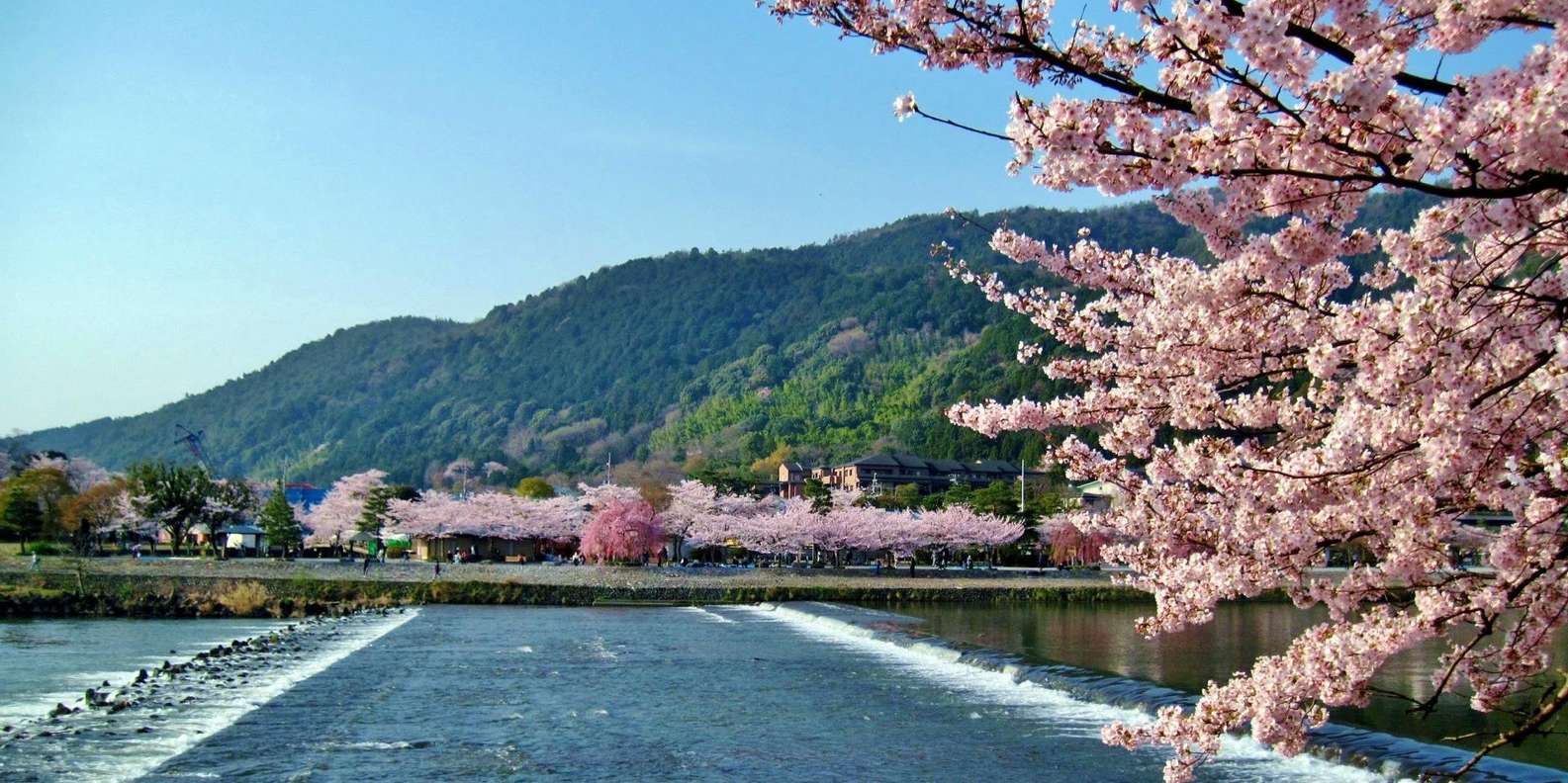 From Osaka/Kyoto: Arashiyama, Nara Park & Fushimi Inari Tour