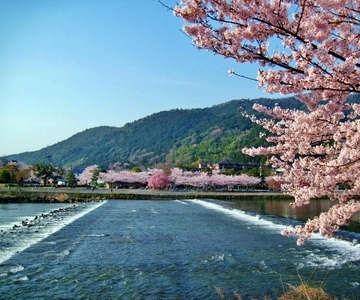 Osaka/Kyoto'dan: Öğle Yemekli Kyoto & Nara Günübirlik Gezisi