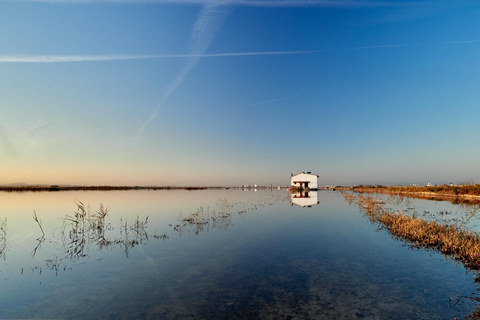 De Valência: Tour particular pela Albufera, Paella e passeio de barcoDe Valência: Excursão a Albufera com Paella, Passeio de Barco e Caminhada