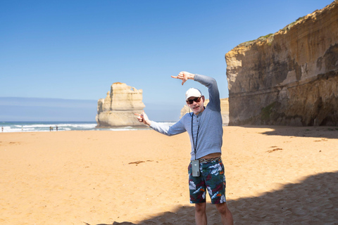 Au départ de Melbourne : Circuit Premium de la Grande Route de l&#039;Océan en sens inverseAu départ de Melbourne : circuit haut de gamme sur la Great Ocean Road dans le sens inverse