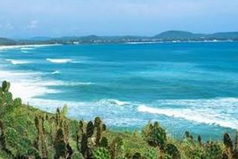 From Tuy Hoa: Phu Yen Full-Day Tour with Lunch