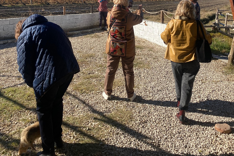 يريفان: جولة في خور فيرب، ووادي الملائكة، ووادي أرارات