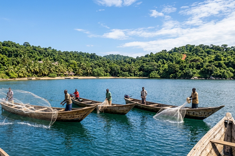 From Kampala/Entebbe: 7-Day Kalangala Island Guided Tour