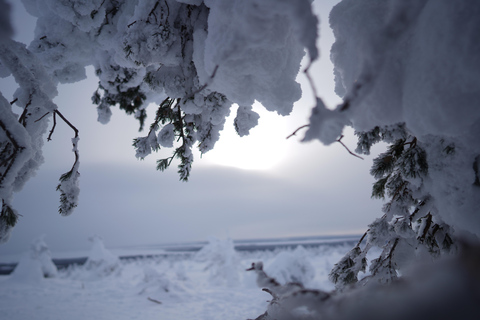 Rovaniemi: World's northernmost Roller Coaster +Riisitunturi
