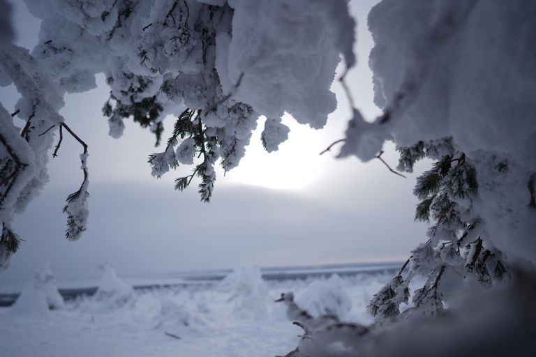Rovaniemi: World's northernmost Roller Coaster +Riisitunturi