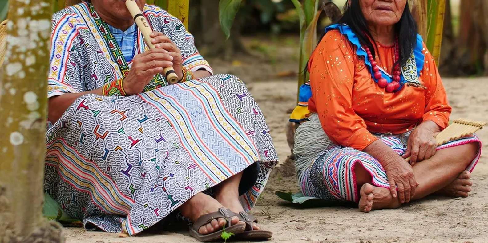 Pucallpa: Yarinococha y Delfines Rosas Shipibo Conibo GetYourGuide