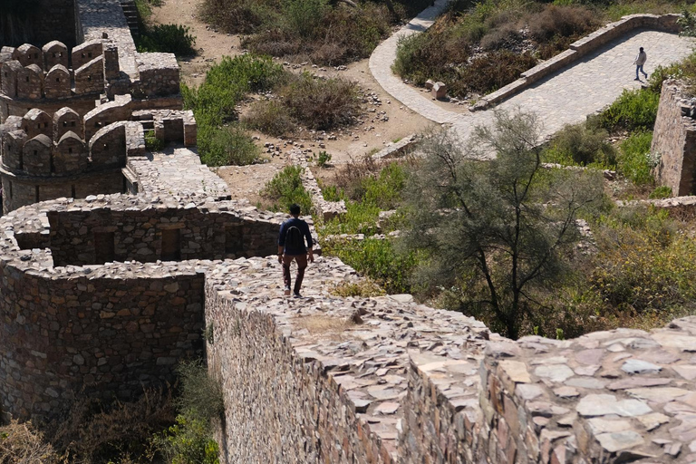 Jaipur: Deepest step well in India & Haunted Fort Day Trip