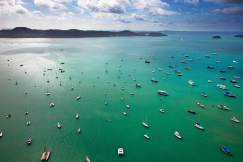 Canopy Forest Tiger Safari ATV Ride ,Feed Elephant Sanctuary Phuket: ATV Ride & Feeding Elephant Sanctuary