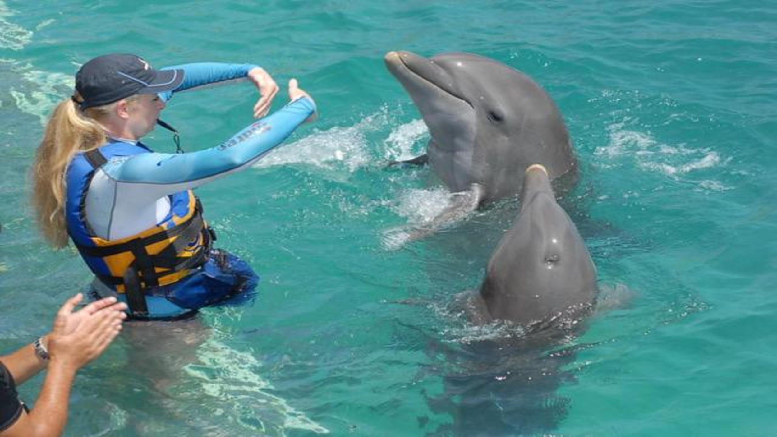 Delfinschwimmen für Naturliebhaber an der Westküste