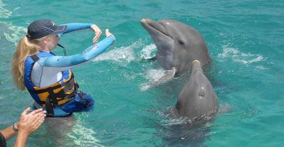 Dolphin Swimming for Nature Lovers on West Coast