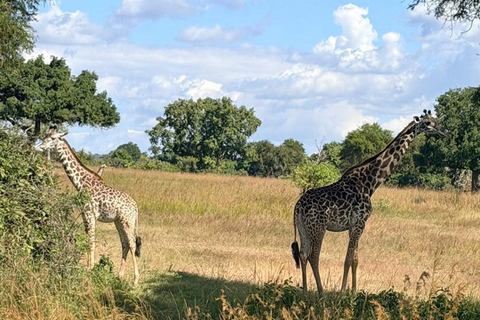 From Zanzibar: Mikumi National Park Fly-In Safari with Lunch