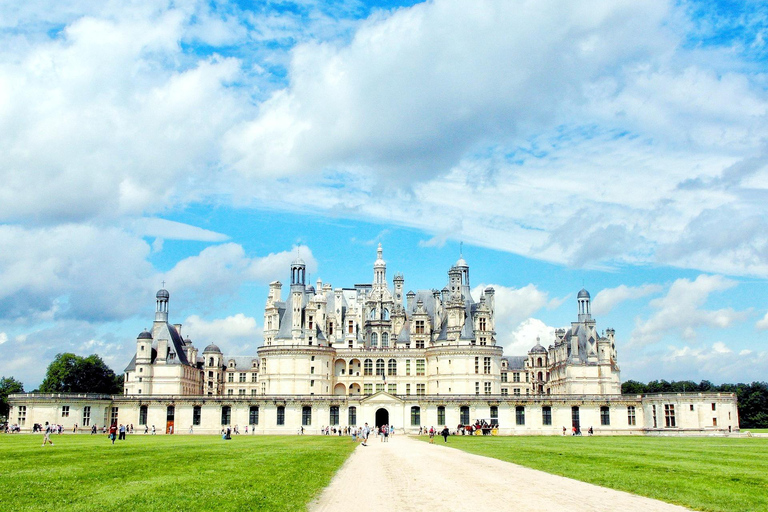 From Paris: Castle of Chambord & Lavender fields Day Trip