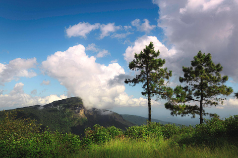 Doi Inthanon Nationaal Park &amp; Wandelen Kew Mae Pan Natuurpad