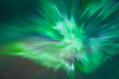 Rovaniemi: Aurora Hunting with 100% Refund. Small Group. Rovaniemi: Aurora Treasure Expedition & Refund (Standard)