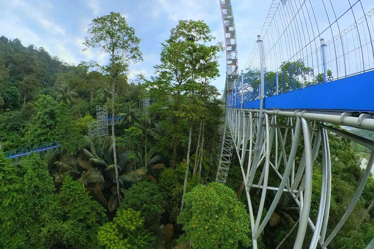 Batu Caves Skywalk and Waterfalls Adventure