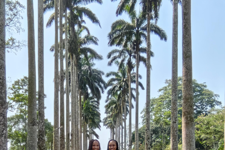 Accra: Jardim Botânico de Aburi, Fazenda de Cacau e Cachoeira ...