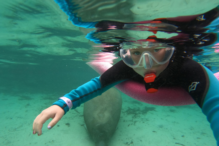 Crystal River: Guided Manatee Tour Heated Boat Free Photos