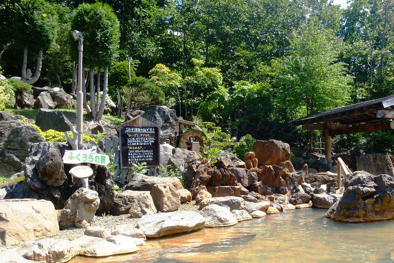 Sapporo in Autumn: Hoheikyo Dam and Hoheikyo Onsen Tour