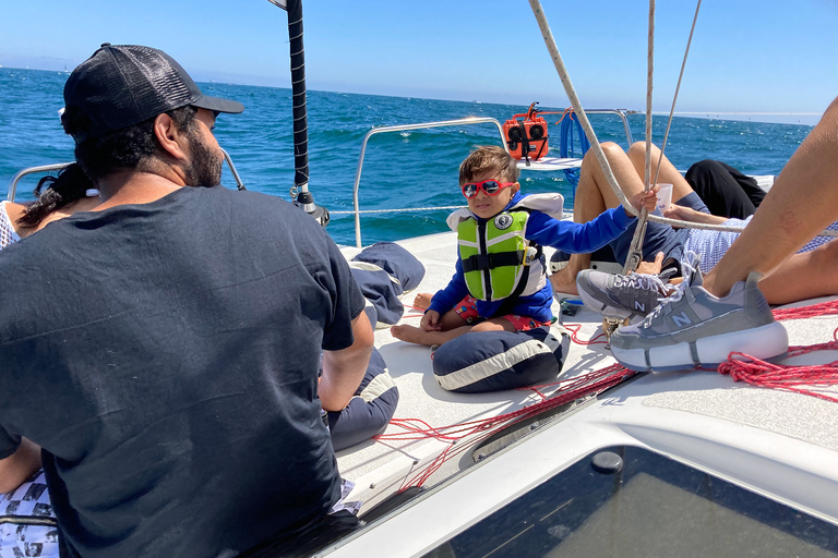 Marina Del Rey: 2 uur privé catamarantour door de jachthaven