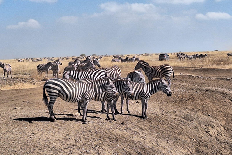 Budget gamedrive in Nairobi National Park.