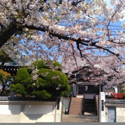 From Tokyo: Kawasaki Showa Era Walking Tour with Local Guide