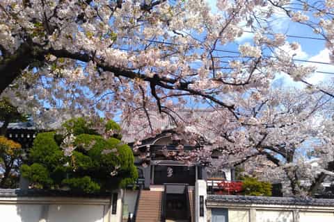 From Tokyo: Kawasaki Showa Era Walking Tour with Local Guide - Image 3