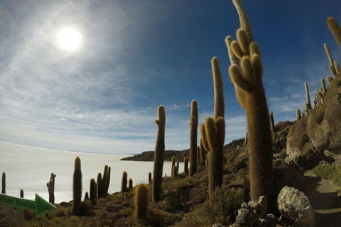 Private Tour 3 Days Salar de Uyuni and Laguna Colorada