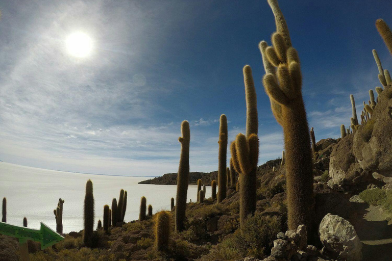 Private Tour 3 Days Salar de Uyuni and Laguna Colorada