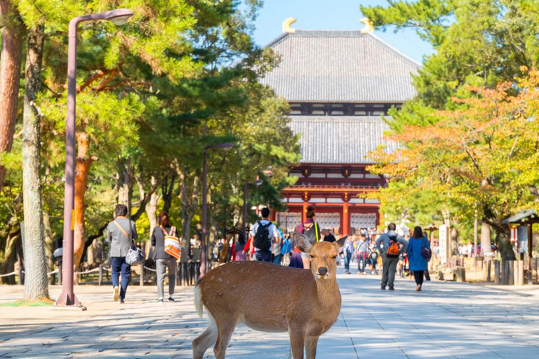 Osaka: Nara, Uji Matcha Experience and Onsen Full Day Tour