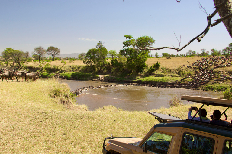Tanzania: 5-Day Tarangire, Serengeti, & Ngorongoro Tour