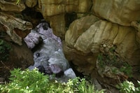 Amazing Adventure, Karahunj, Devils bridge & Khndzoresk - Housity