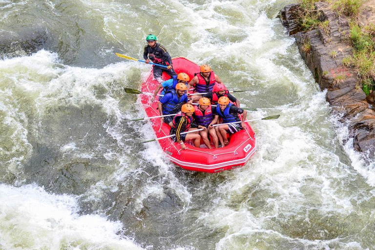 Sri Lanka : Grand tour de 15 jours avec vacances