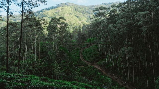 Kandy: Bike Rental with Helmet, Water, and Route Map