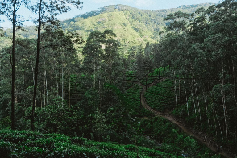 Kandy: Bike Rental with Helmet, Water, and Route Map