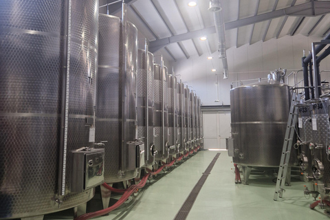 From Plovdiv: Wine Escape to the Rhodope Foothills