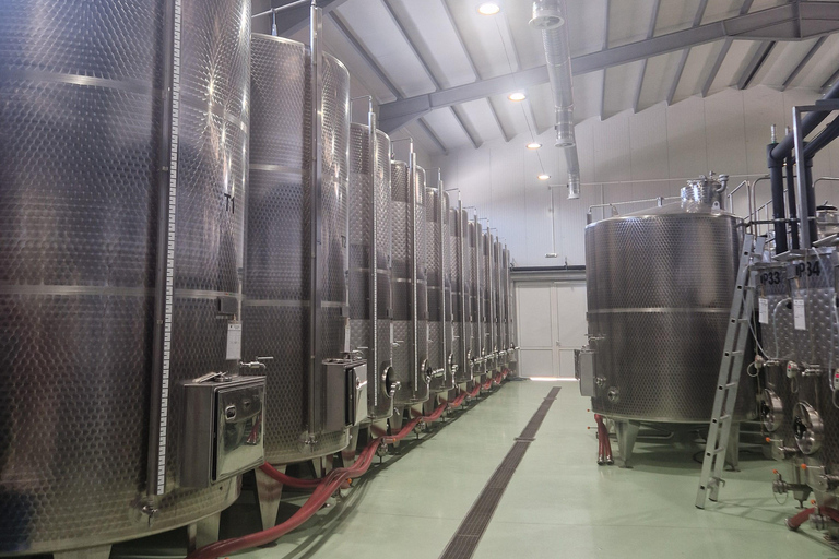 From Plovdiv: Wine Escape to the Rhodope Foothills