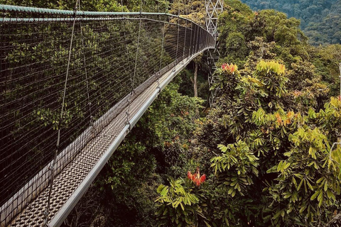 1 Days Nyungwe canopy walkway