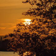 Mainz: Guided Evening Walking Tour of the Rhine Banks/Old Town in German and English