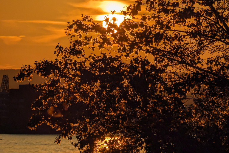 Mainz: guided evening tour of the Rhine embankment/old town in German and English