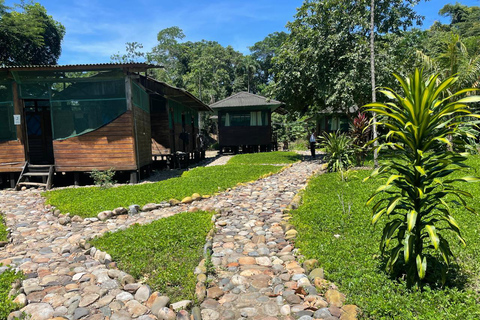 Da Cusco: 5 giorni di esplorazione e connessione nella Zona Riservata del ManuDa Cusco: 5 giorni di esplorazione e connessione nella Zona Riservata di Manu