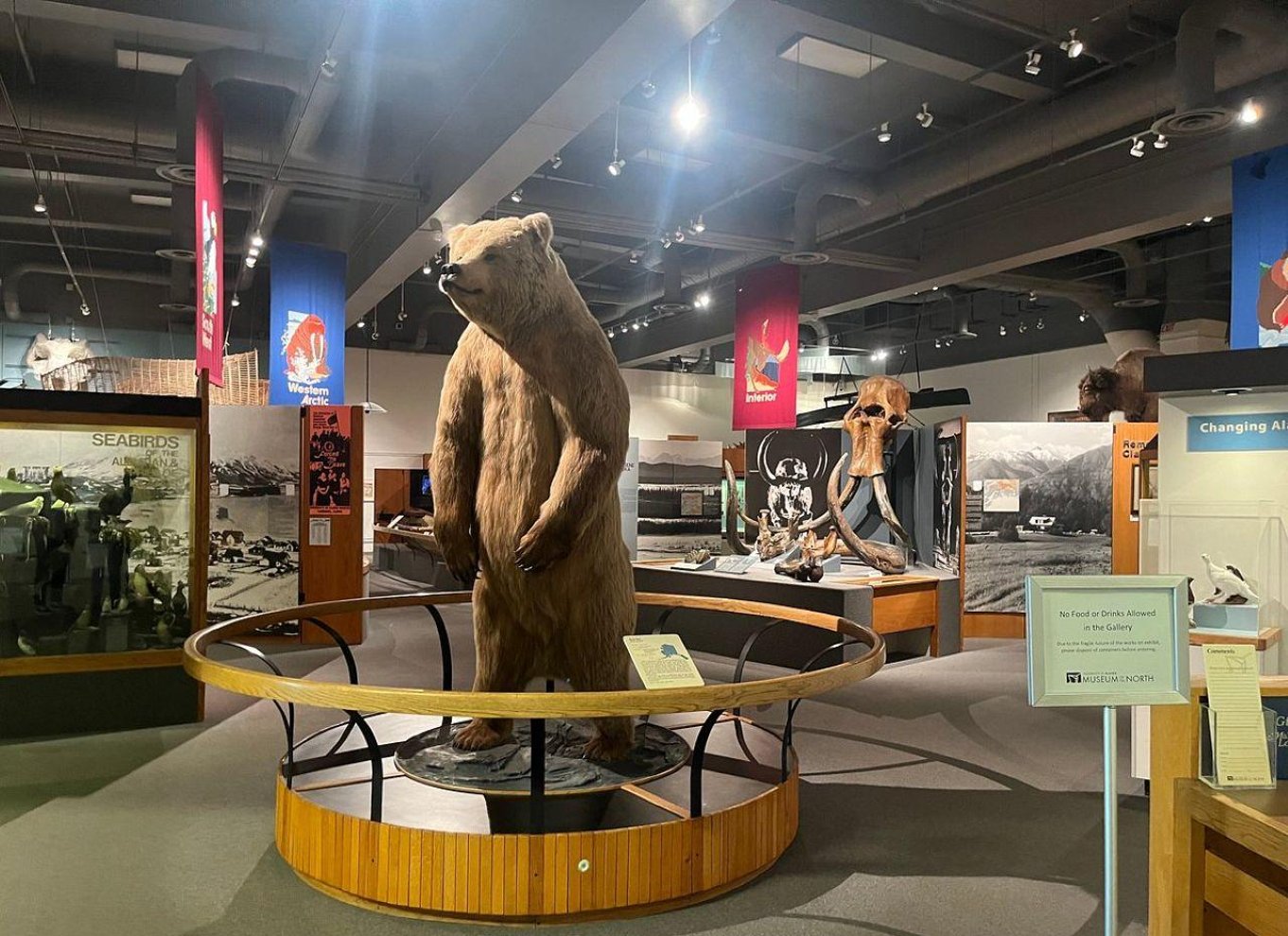 Fairbanks kulturarvstur